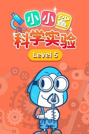 小小鲨科学实验level5