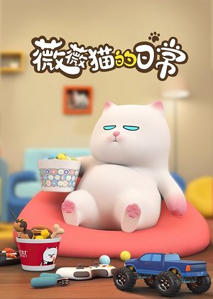 薇薇猫的日常