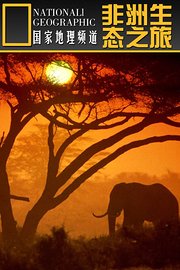 寰宇地理之非洲生态之旅