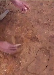神秘深山发现大量粗铜竟有27枚不同的脚印疑是两千年前留下