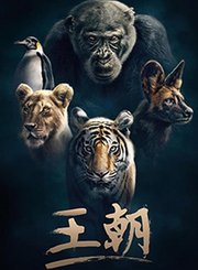 王朝第1季