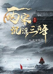 两宋沉浮三百年之北宋传奇