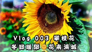 山城的踏雪