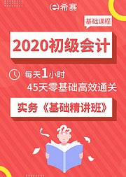 2020初级会计——实务