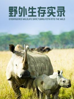 野外生存实录