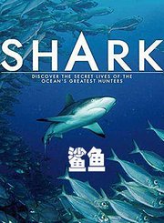 鲨鱼