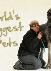 世界上最大的宠物