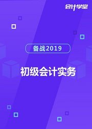 备考2019年初级会计职称考试-会计实务