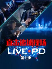 直击追捕现场LIVEPD第7季