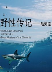 野性传记——陆海空