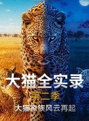 大猫全实录第2季