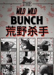 荒野杀手英文版
