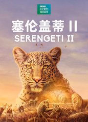 塞伦盖蒂第2季中文版