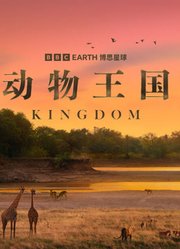 动物王国配音版