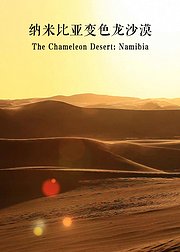 纳米比亚变色龙沙漠