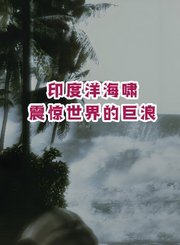 印度洋海啸-震惊世界的巨浪