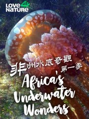 非洲水下奇观