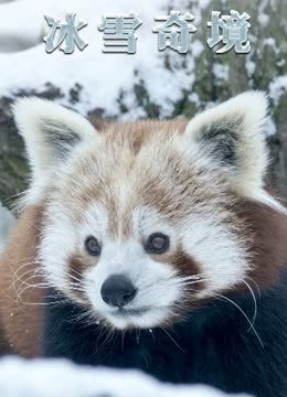 冰雪奇境普通话版