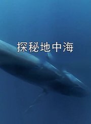 探秘地中海