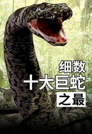 细数十大巨蛇之最