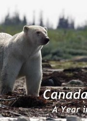 加拿大：荒野年轮