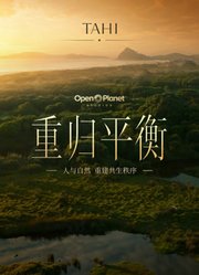 TAHI：重归平衡