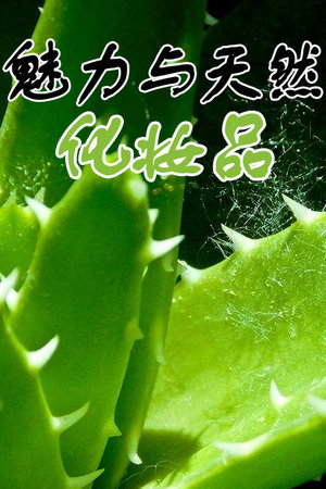 魅力与天然化妆品