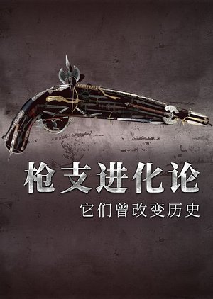 枪支进化论