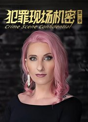 犯罪现场机密第2季