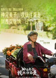 种完麦子我就往南走