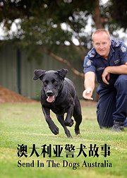 澳大利亚警犬故事