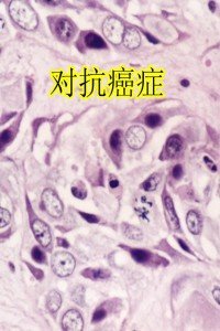 对抗癌症