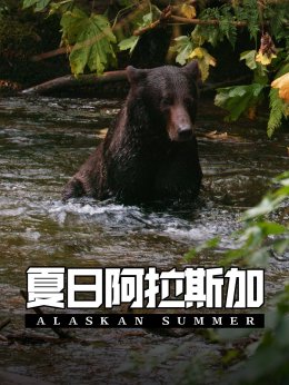 夏日阿拉斯加