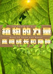 植物的力量·竞相成长和育种