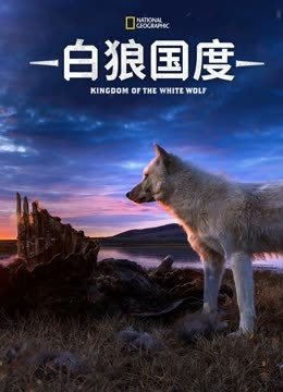 白狼国度第1季