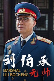 刘伯承元帅