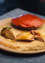 美食集结·全球好味治愈人心