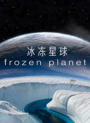 冰冻星球第1季