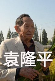 杂交水稻之父袁隆平逝世