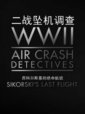 二战坠机调查