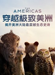 河狸变身计划首发预告