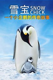 雪宝：一个小企鹅的传奇故事