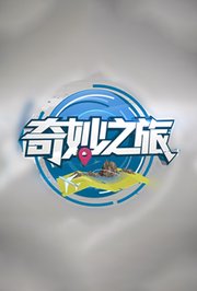 奇妙之旅