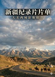 新疆一生一次必体验榜