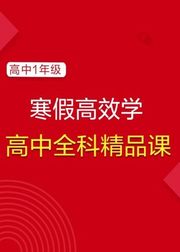 【学而思·爱智康】寒假精品课：高一全科