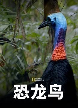 恐龙鸟