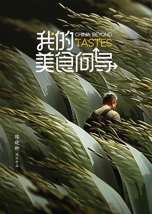 我的美食向导