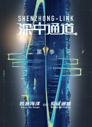 深中通道第2季
