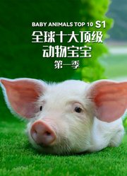 全球十大顶级动物宝宝第1季英文版