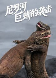尼罗河巨蜥的袭击国语版